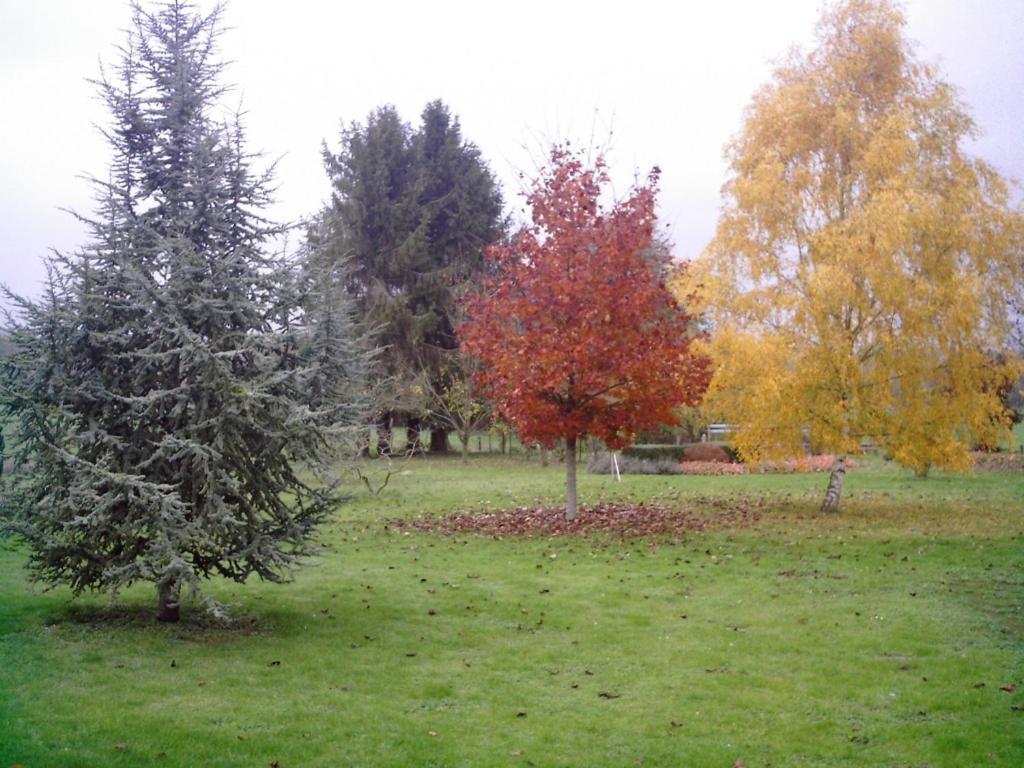 Villa Au Jardin Fleuri Vauxaillon Esterno foto