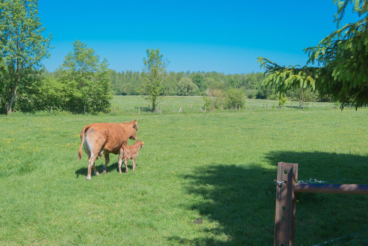 Villa Au Jardin Fleuri Vauxaillon Esterno foto